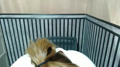 Kate online show from 10/08/25, 07:00