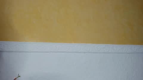 Snapshot of prettypervyx chatting on 02/09/25, 09:05 Laura Onlyfans 40OFF online show from 02/09/25, 09:05