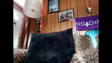 prettysolid7 online show from 01/12/26, 06:46