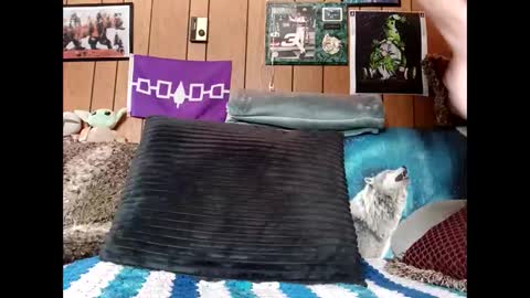 prettysolid7 online show from 03/22/26, 02:20