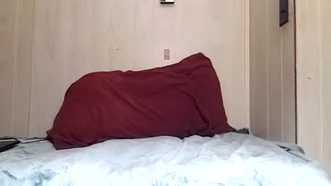 prettysolidd7 online show from 12/02/24, 08:52