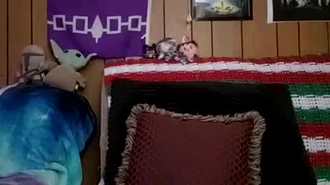 prettysolidd7 online show from 01/04/25, 06:09