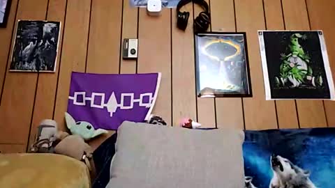 prettysolidd7 online show from 01/19/25, 09:55