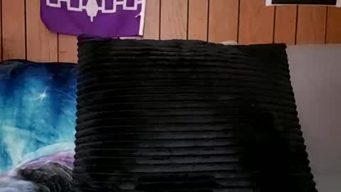 prettysolidd7 online show from 02/24/25, 11:21