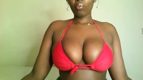 Snapshot of prettyvishy chatting on 11/15/25, 02:20 prettyvishy online show from 11/15/25, 02:20