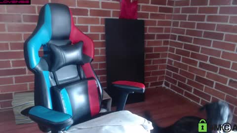 Leia online show from 04/12/26, 08:36