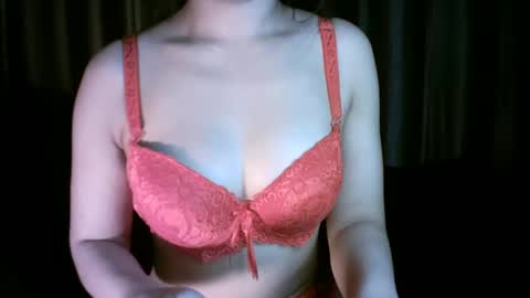 Snapshot of princess916446 chatting on 12/13/24, 06:27   princess   online show from 12/13/24, 06:27