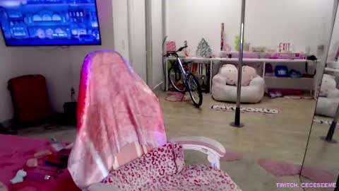 Cece  NEXT LIVESTREAM -- DEC. 4th  7 PM CST online show from 04/01/26, 04:13