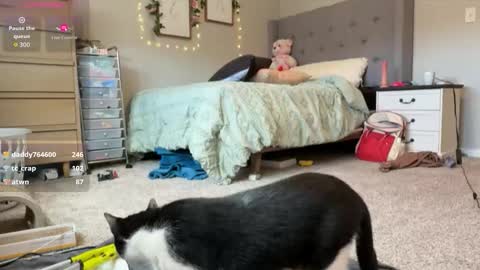 Sable online show from 03/30/26, 04:19