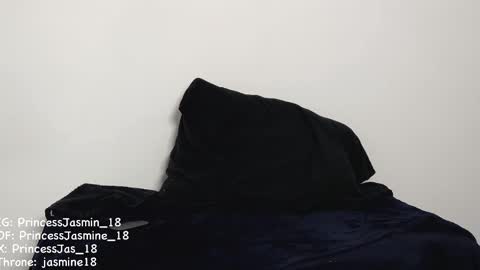 Snapshot of princessjasmine_18 chatting on 02/11/25, 02:13 Jasmine online show from 02/11/25, 02:13