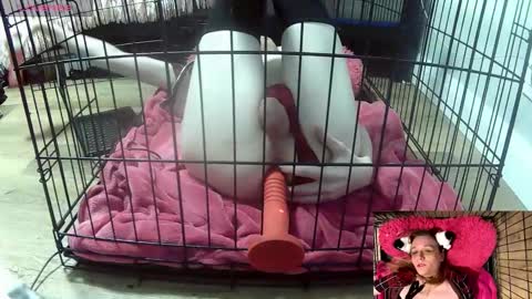 Snapshot of princessjuliaxo4 chatting on 02/03/26, 02:10 PrIncessJulia0X online show from 02/03/26, 02:10