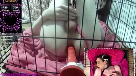 Snapshot of princessjuliaxo4 chatting on 02/20/26, 11:38 PrIncessJulia0X online show from 02/20/26, 11:38