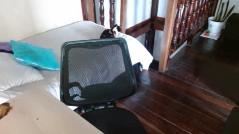 prismm_ online show from 09/14/25, 01:21