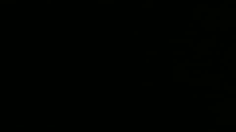 privinicy online show from 02/01/26, 03:10