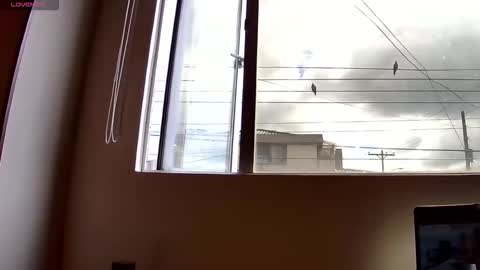 Probardetodo independent model online show from 12/03/25, 02:15