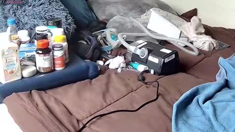 Probardetodo independent model online show from 01/09/26, 06:31