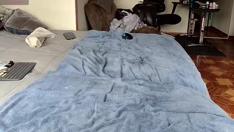 Probardetodo independent model online show from 02/01/26, 01:42