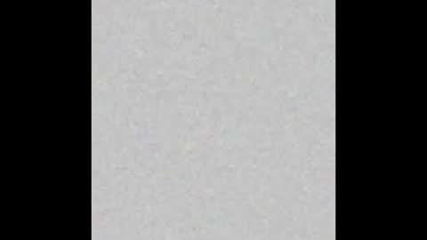 professorhushh online show from 11/09/25, 05:00