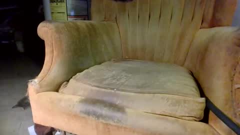 pspee313 online show from 10/31/25, 11:06