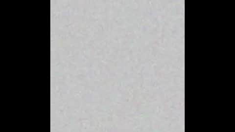 Timmy online show from 10/31/25, 12:28