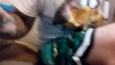 pumapumping online show from 10/11/25, 11:14