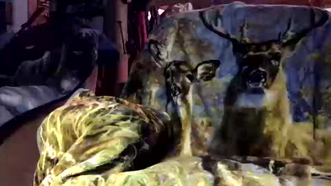 pumpslurrys online show from 10/12/25, 11:26