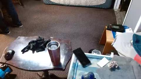 Jojo online show from 04/02/26, 05:38