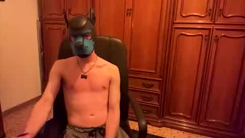 Snapshot of pup_toby chatting on 11/03/25, 10:32 Toby online show from 11/03/25, 10:32