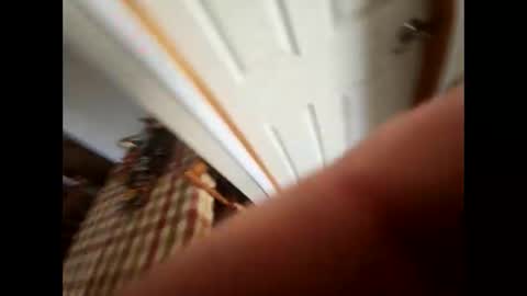 purdyguy7777 online show from 02/05/25, 05:53