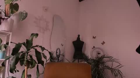 Snapshot of purple_opal chatting on 08/06/26, 07:05 Vero online from Tuesday to Sunday online show from 08/06/26, 07:05