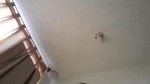 Snapshot of pussy_happy0 chatting on 12/03/24, 07:55 pussy_happy0 online show from 12/03/24, 07:55