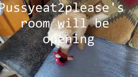 Rick online show from 03/05/25, 10:33