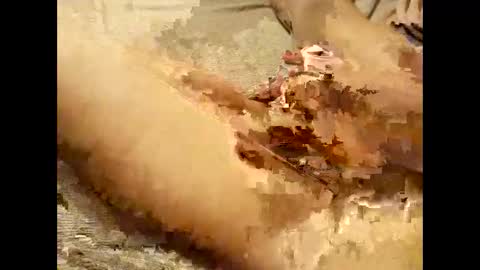 Snapshot of pussymoneyweed9125 chatting on 09/28/25, 07:52 Thick Pussy banger online show from 09/28/25, 07:52