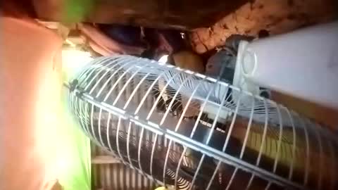 pussywetfantasy69xxx online show from 04/23/26, 12:56