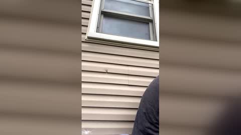 pyrex8 online show from 04/13/26, 08:58