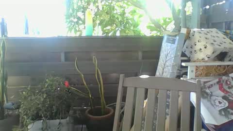 Snapshot of python974 chatting on 02/02/25, 04:05 Python online show from 02/02/25, 04:05