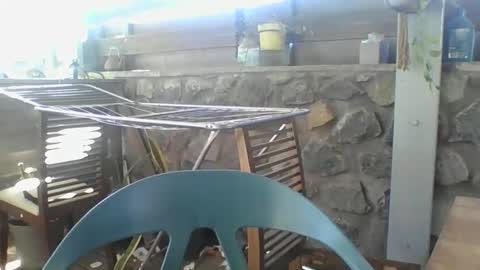 Snapshot of python974 chatting on 11/29/25, 04:04 Python online show from 11/29/25, 04:04