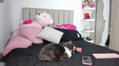 Snapshot of queen_antonella_oficial chatting on 06/08/26, 08:04 QUEEN ANTONELLA online show from 06/08/26, 08:04