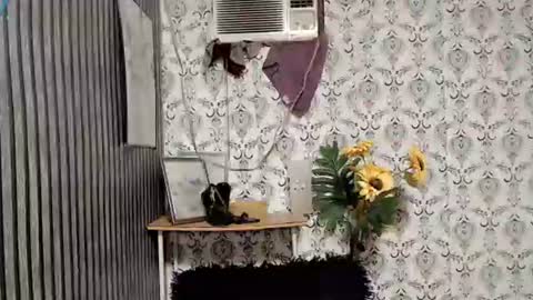 Snapshot of queen_elicktra chatting on 09/10/25, 11:05 JOY online show from 09/10/25, 11:05