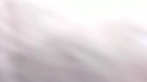   online show from 03/06/25, 06:05