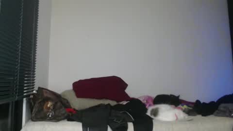 Nico online show from 01/02/25, 03:15