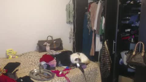 Nico online show from 02/13/25, 04:00