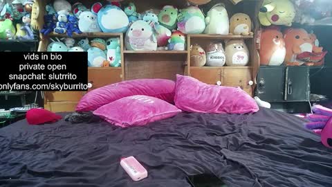 Sky Burrito online show from 10/18/25, 11:38