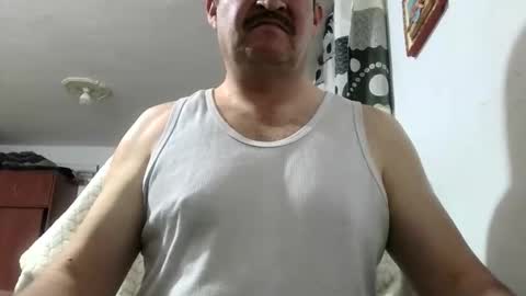 Snapshot of querubinrebelde chatting on 06/03/26, 01:08 Don Ramon online show from 06/03/26, 01:08