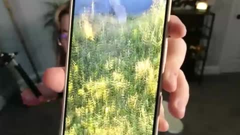 Bri online show from 11/17/25, 03:34