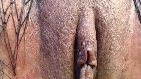 Quickie online show from 04/29/26, 09:32