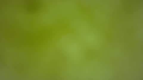 Snapshot of quinnxx chatting on 02/22/26, 06:35 quinnxx online show from 02/22/26, 06:35