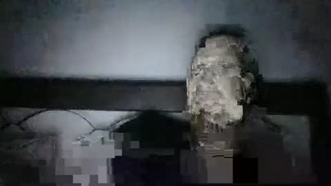 qwezxcqweasdzxc online show from 10/23/25, 02:44