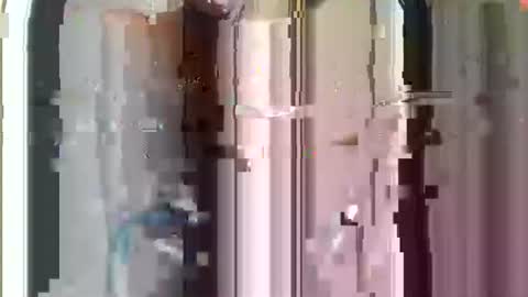 r04233054 online show from 11/29/25, 08:50