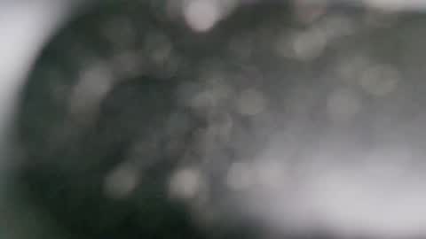 Dmitry online show from 01/21/25, 07:06